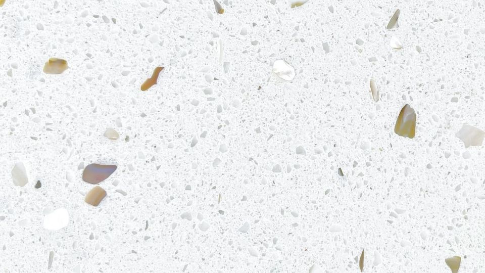 [QS15P-1001-SLAB] Shell King (Slab)