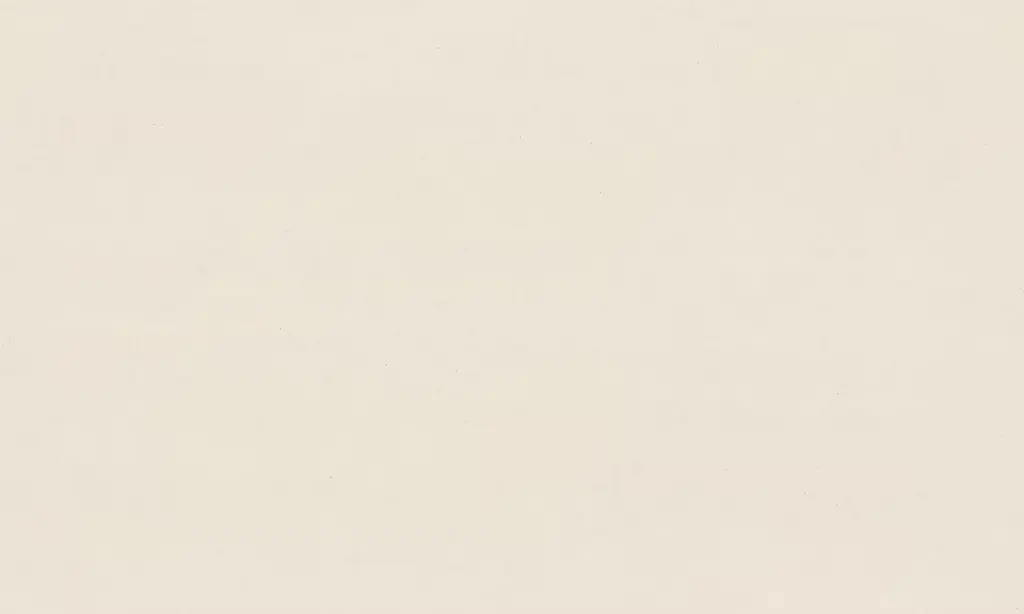 Linen Cream Slab (12mm, Polished)